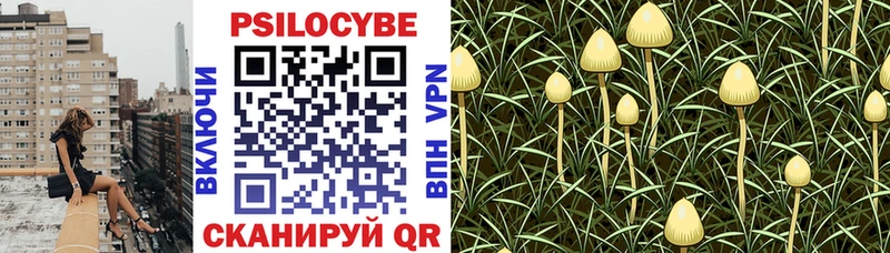 Псилоцибиновые грибы Psilocybine cubensis  Купить  Ипатово 